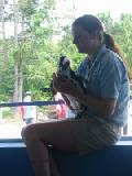 gray brown and trainer